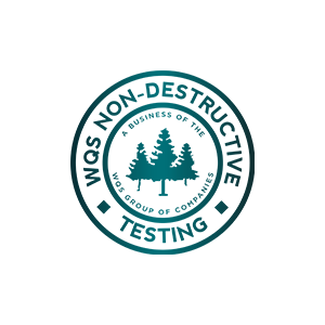 WQS Testing